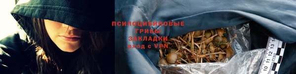 ешки Лабытнанги
