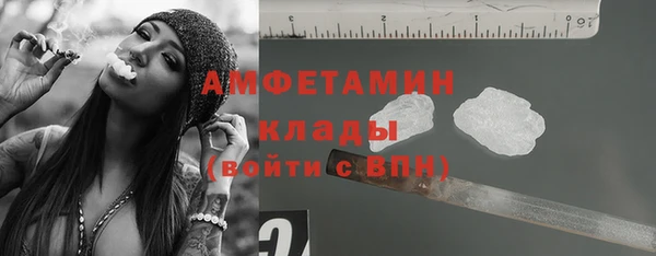 прущие грибы Ладушкин