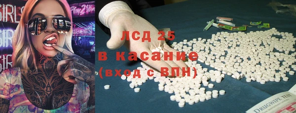 прущие грибы Ладушкин