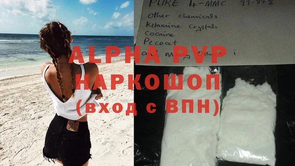 прущие грибы Ладушкин