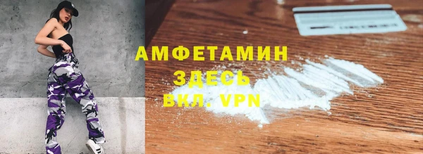 прущие грибы Ладушкин