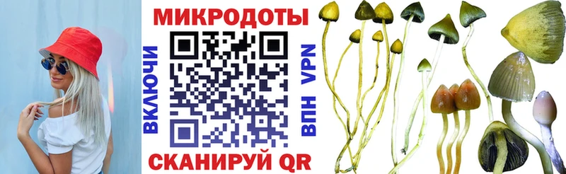 Галлюциногенные грибы Psilocybe  Купить где  Полярные Зори 