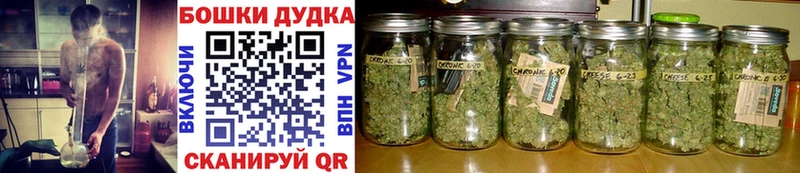 Купить  Полярные Зори  Каннабис AK-47 